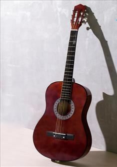 Guitar- Acoustic guitar for beginner